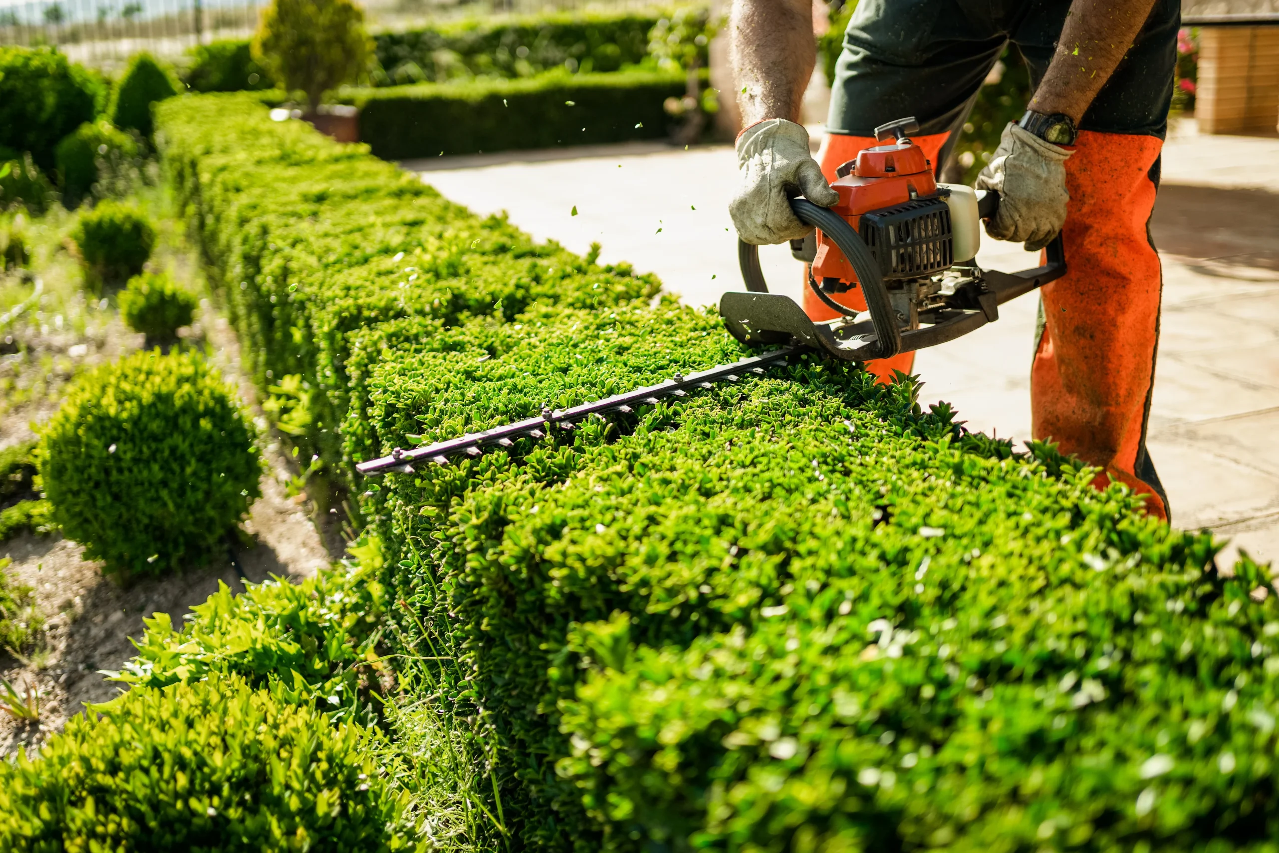 Sunscape Landscaping & Gardening LLP